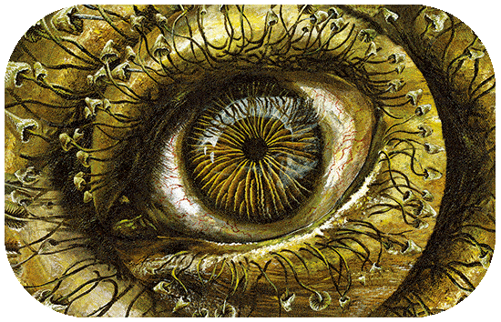 Mushroom Eye